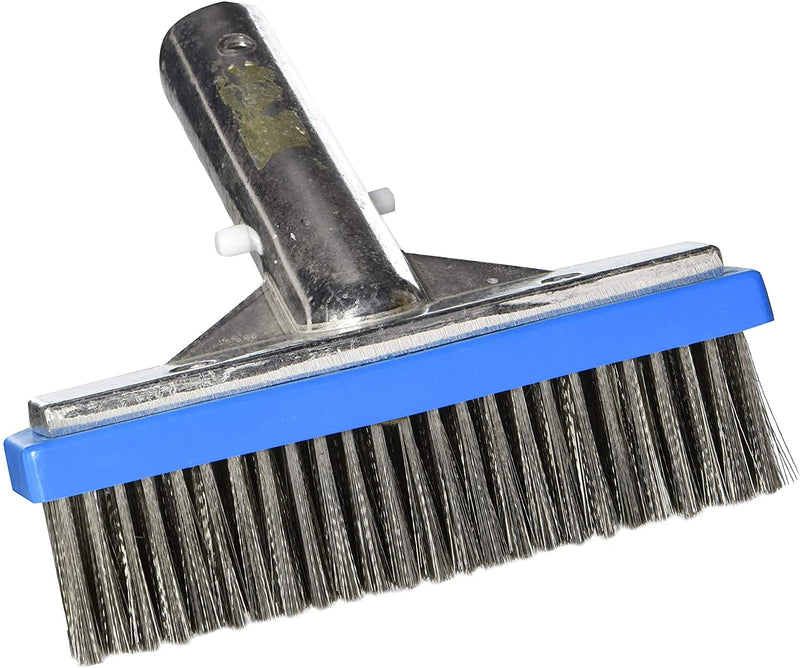 Stainless-Steel 10 Bristle Brush for Cleaning Pool Algae, pole